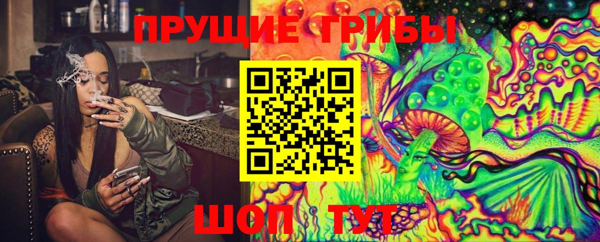 Псилоцибиновые грибы Psilocybe Ялуторовск
