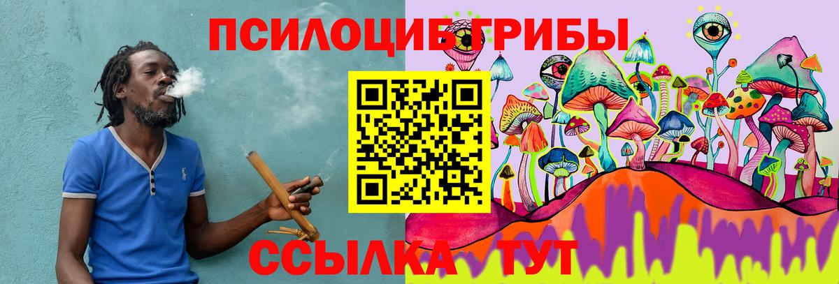 где купить   Вход с VPN  Псилоцибиновые грибы мухоморы  Ялуторовск  Псилоцибиновые грибы Cubensis 
